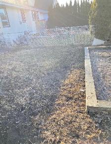 Winnipeg Dog Poop Cleanup | One-Time & Recurring Service - Photo 7