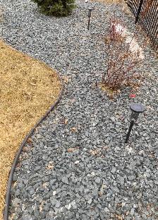 Winnipeg Dog Poop Cleanup | One-Time & Recurring Service - Photo 8