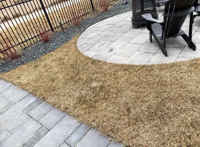 Winnipeg Dog Poop Cleanup | One-Time & Recurring Service - Photo 9