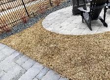 Winnipeg Dog Poop Cleanup | One-Time & Recurring Service - Photo 9