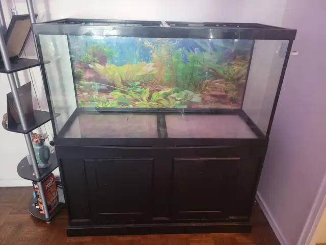 90 Gallon Tank with Stand