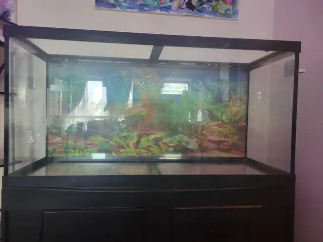 90 Gallon Tank with Stand - Photo 2