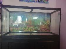 90 Gallon Tank with Stand - Photo 2