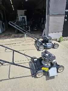 Lawn motor and service