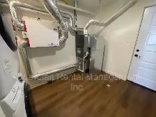 2 Bed, 1 Bath, Semi-Detached Home - 577 Syndicate Ave S- $2200/m - Photo 16