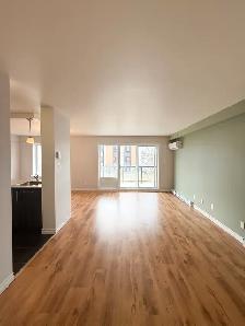 2 MOIS GRATUIT | Grand & lumineux 4 1/2 | Secteur Desjardins - Photo 3
