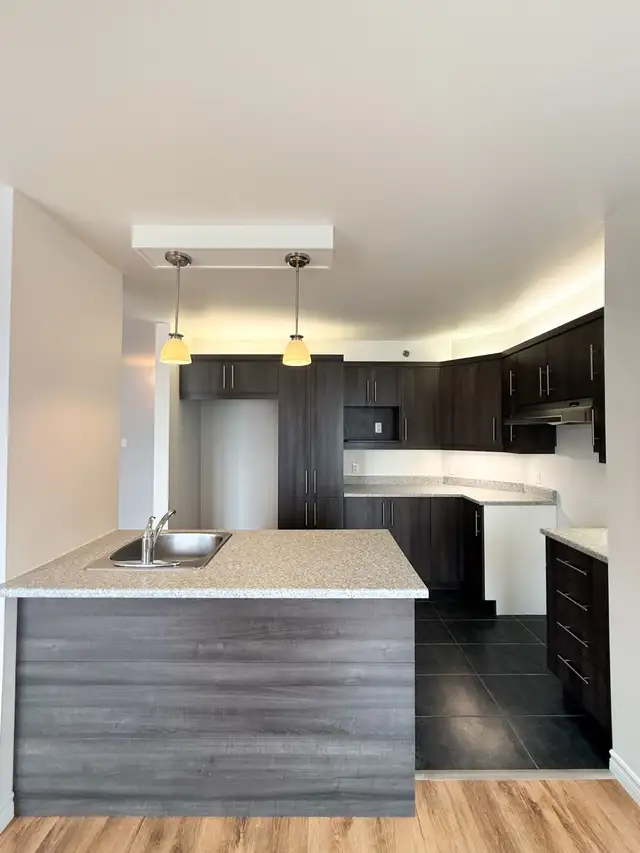2 MOIS GRATUIT | Grand & lumineux 4 1/2 | Secteur Desjardins - Photo 6