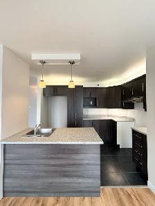2 MOIS GRATUIT | Grand & lumineux 4 1/2 | Secteur Desjardins - Photo 6