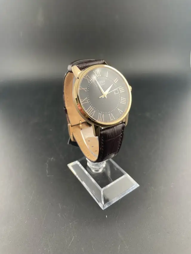 Citizen Eco Drive Men’s Watch