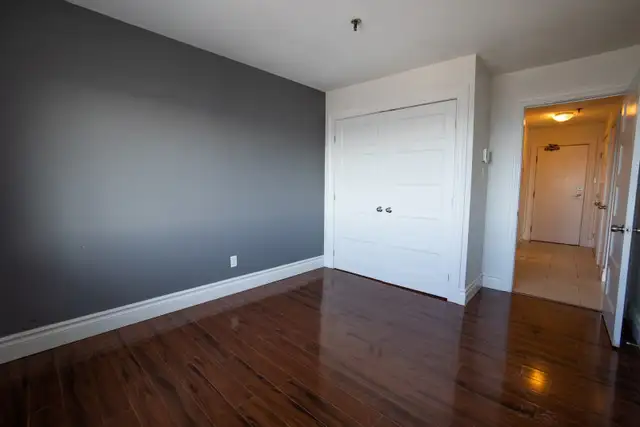 AVAILABLE June 1st - North End - 1 Bedroom Apartment - Photo 3