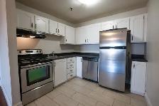 AVAILABLE June 1st - North End - 1 Bedroom Apartment - Photo 8