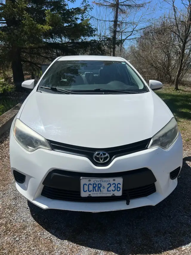 Feels like new! 2016 Toyota Corolla - Photo 2