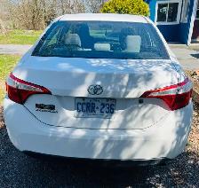 Feels like new! 2016 Toyota Corolla - Photo 3