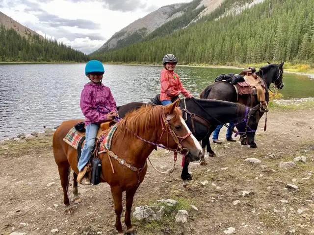 pony for sale - Photo 2