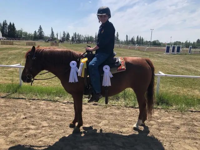 pony for sale - Photo 4