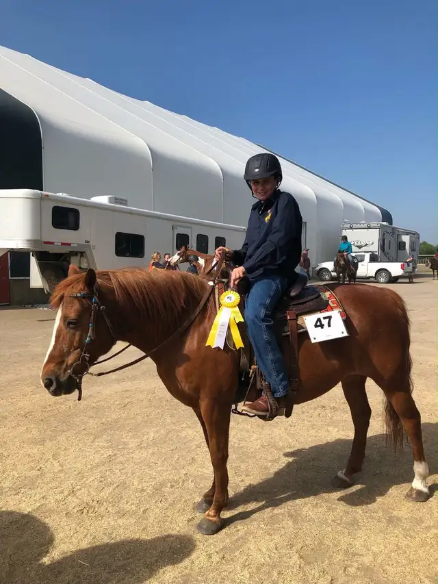 pony for sale - Photo 5