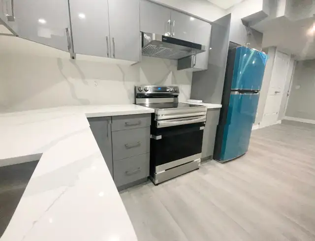BASEMENT APPT 2 BEDROOM WATERDOWN NEAR ALDERSHOT GO STATION - Photo 6