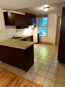 BEAU 4 1/2, 2 CHAMBRES, 1 GARAGE, BOURBONNIÈRE, 1ER JUIN - Photo 7