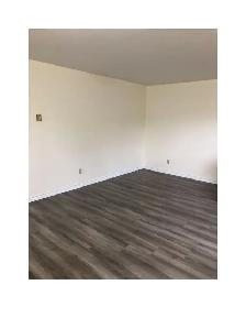 1 Bdrm Apt For Rent Huntsville - Photo 4