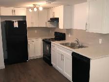 Rent! NEW SPACIOUS TWO (2) BEDROOMS BASEMENT LEGAL SUITE. - Photo 2
