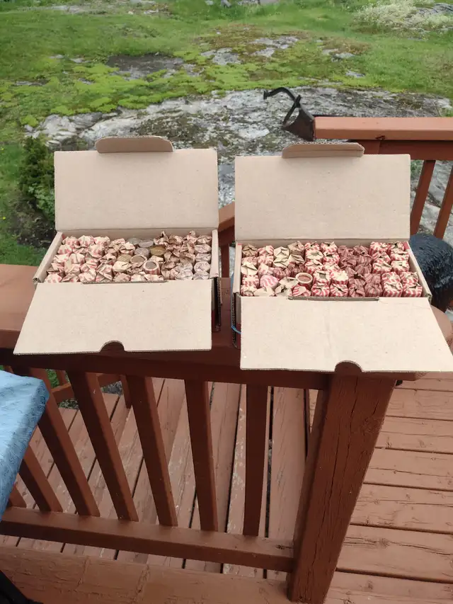 Your choice 2 boxes unchecked Canadian/American pennies - Photo 2