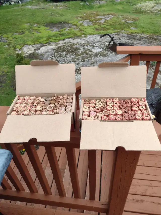 Your choice 2 boxes unchecked Canadian/American pennies - Photo 5