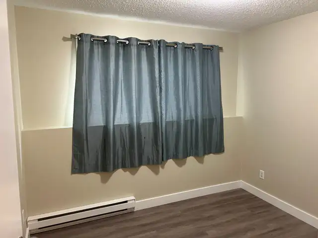 2-BEDROOM COZY • QUIET • PET-FRIENDLY - Photo 10