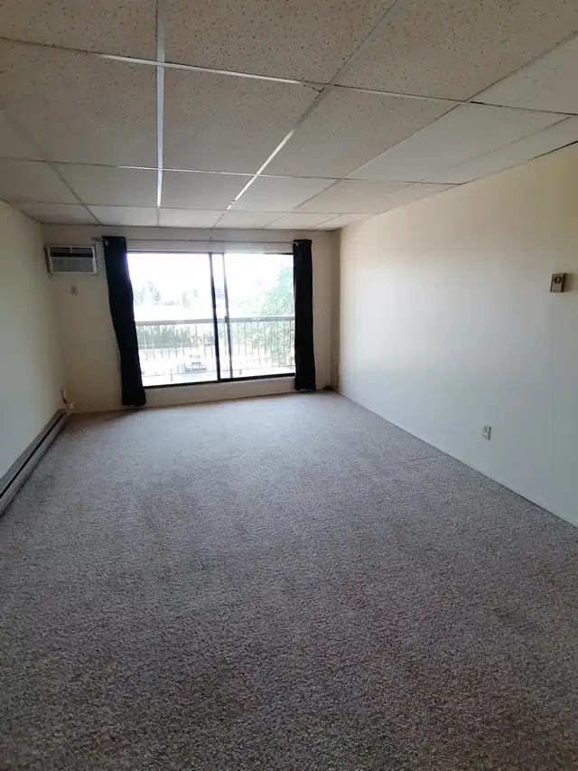 ✨ UPPER FLOOR – 2 BDRM – CAT FRIENDLY – BRIGHT & SPACIOUS ✨ - Photo 3
