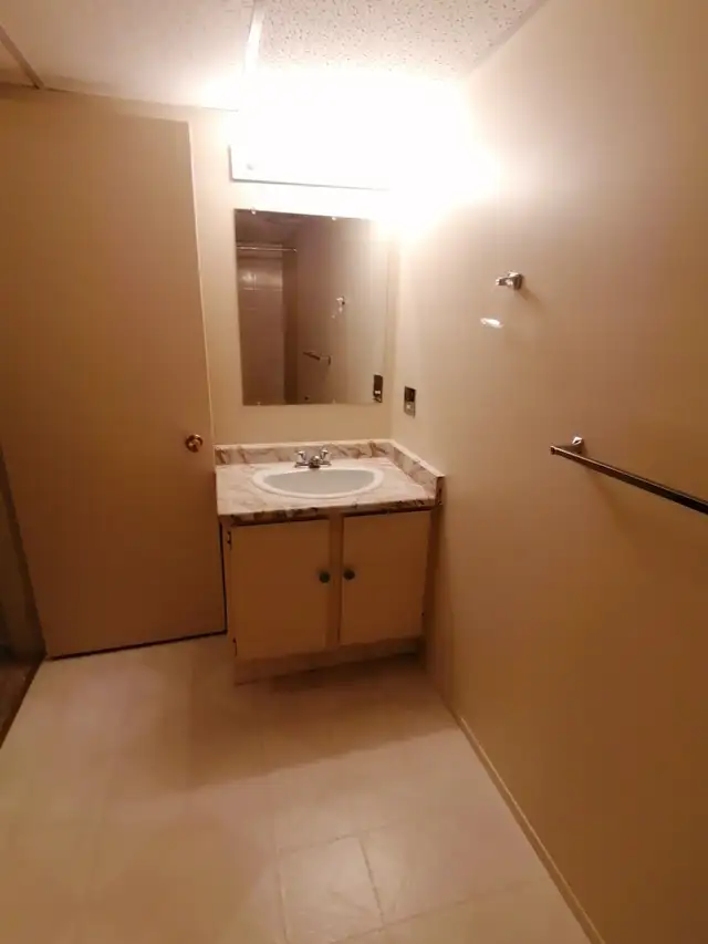 ✨ UPPER FLOOR – 2 BDRM – CAT FRIENDLY – BRIGHT & SPACIOUS ✨ - Photo 4