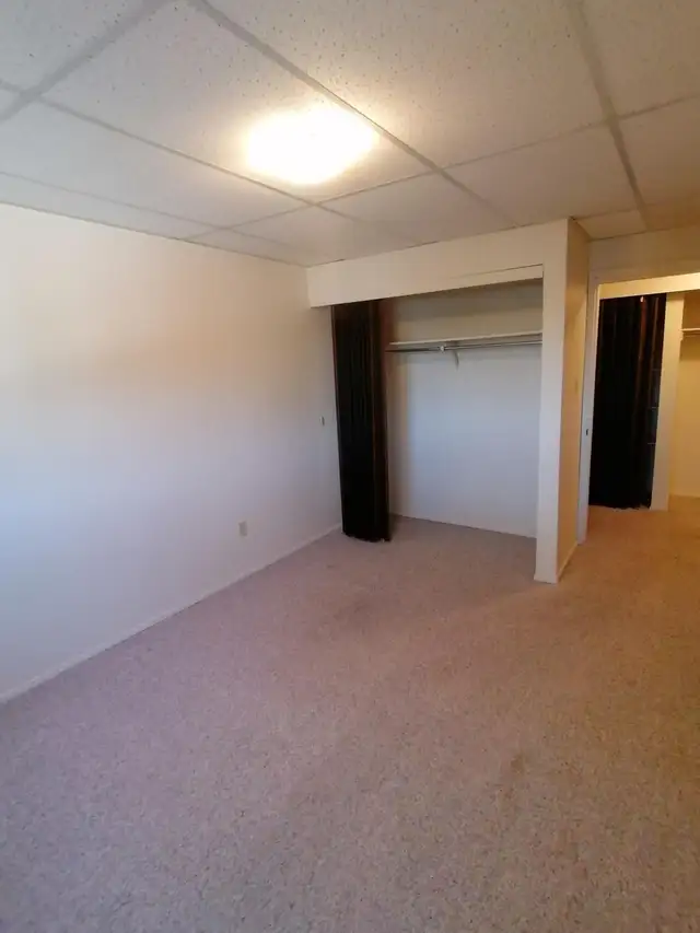 ✨ UPPER FLOOR – 2 BDRM – CAT FRIENDLY – BRIGHT & SPACIOUS ✨ - Photo 6