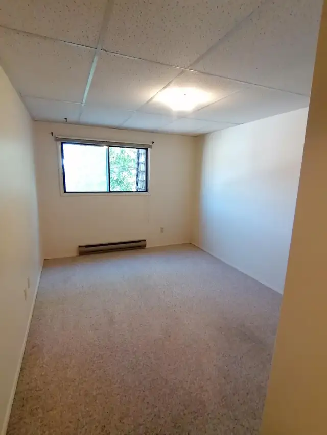 ✨ UPPER FLOOR – 2 BDRM – CAT FRIENDLY – BRIGHT & SPACIOUS ✨ - Photo 7