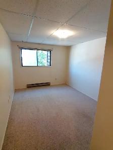 ✨ UPPER FLOOR – 2 BDRM – CAT FRIENDLY – BRIGHT & SPACIOUS ✨ - Photo 7