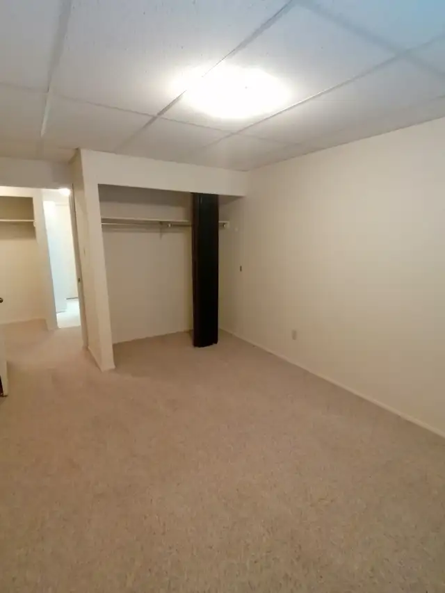 ✨ UPPER FLOOR – 2 BDRM – CAT FRIENDLY – BRIGHT & SPACIOUS ✨ - Photo 8