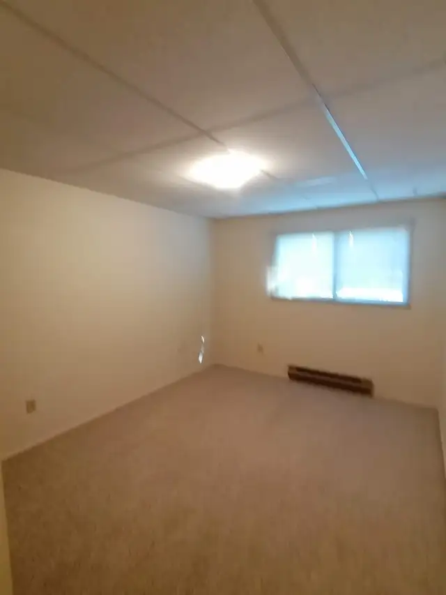 ✨ UPPER FLOOR – 2 BDRM – CAT FRIENDLY – BRIGHT & SPACIOUS ✨ - Photo 9