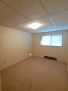 ✨ UPPER FLOOR – 2 BDRM – CAT FRIENDLY – BRIGHT & SPACIOUS ✨ - Photo 9