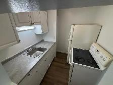 Spacious All Incl 1bdrm with balcony and onsite laundry @ 266 Ch - Photo 4