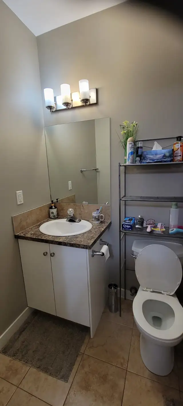 Room Rental near Whyte Ave & Bonnie Doon LRT - Photo 5