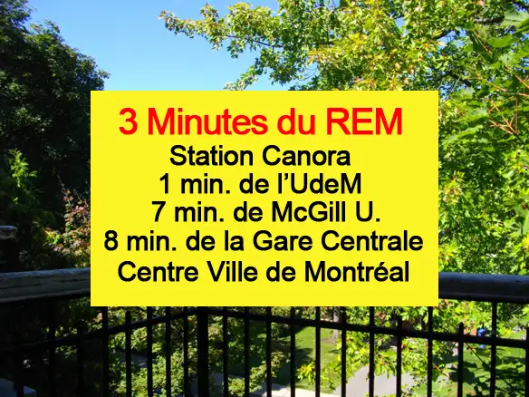 MONT ROYAL - WOW! BEL GRAND APPART - 4 CAC - QUARTIER SUPER CHIC