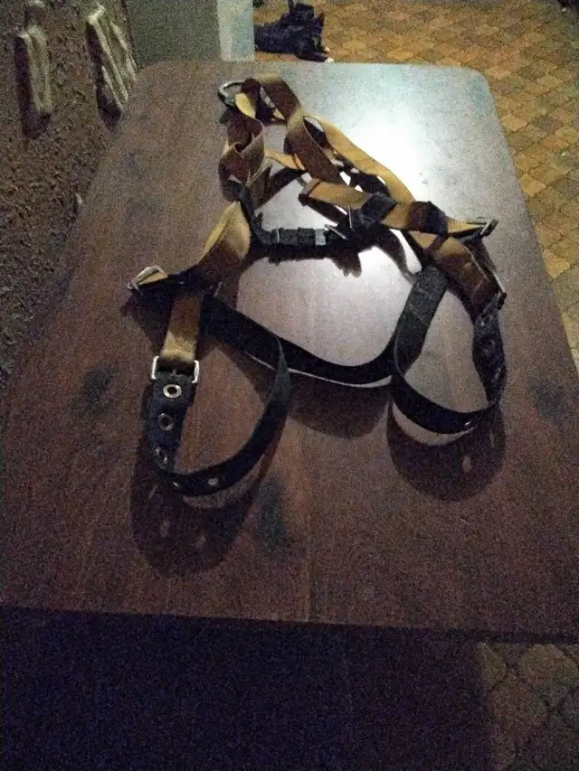 Safety Harness