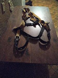 Safety Harness