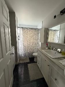Logement 4 1/2 (Fleurimont) - Photo 4
