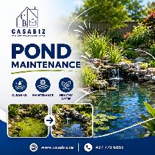 Pond Maintenance