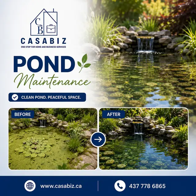 Pond Maintenance