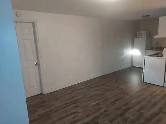 1 bedroom apartment for rent - Photo 3