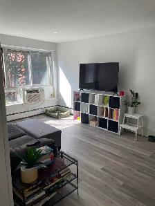 2 Bdrm Apt - AUGUST 1st 2026 - The Carson - Photo 10