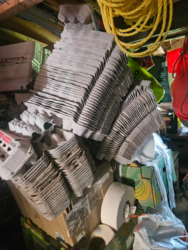 Egg carton.  Over 200. - Photo 2