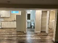 Quiet basement suite Cambridge - Photo 3