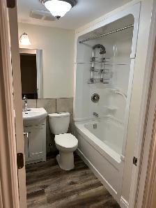 Quiet basement suite Cambridge - Photo 5
