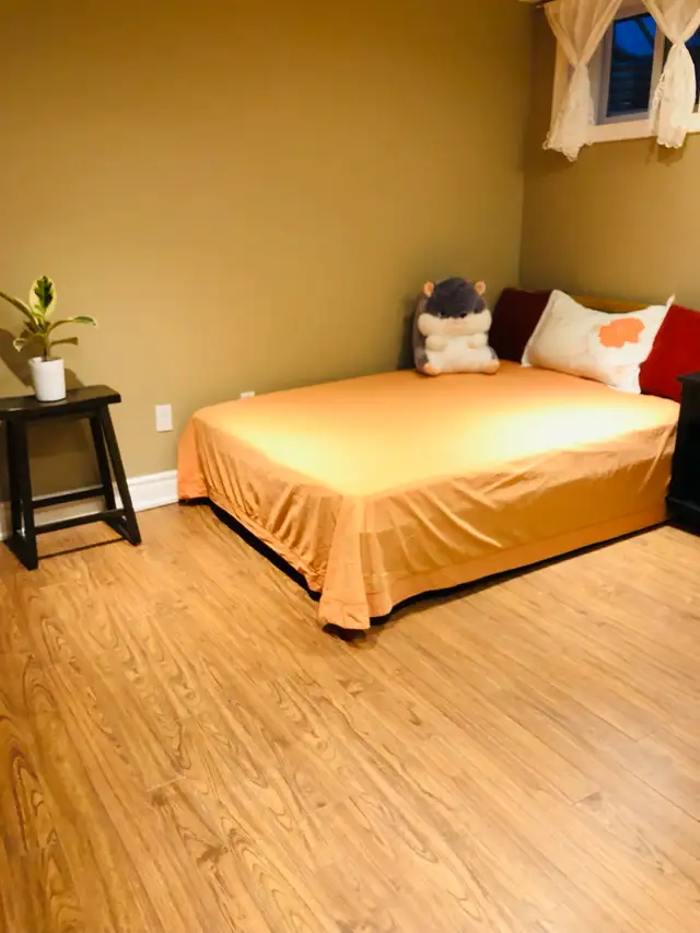 A beautiful bedroom/parking near UTM for rent - Photo 2