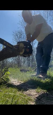 small tree Services ( Fair price )